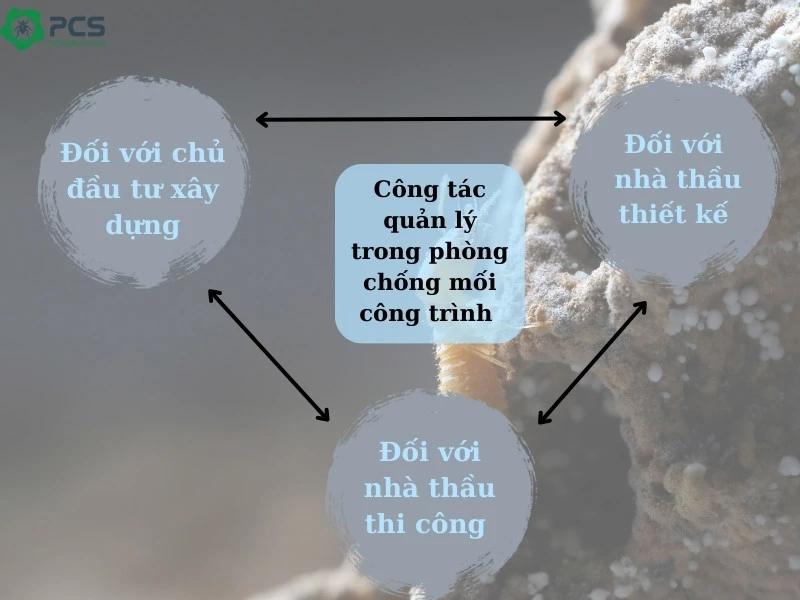 Biện pháp chống mối công trình 